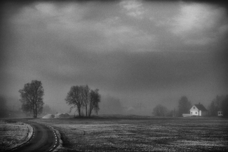 Foggy morning Foggy morning