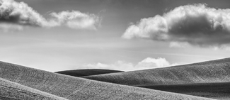 Palouse Lines