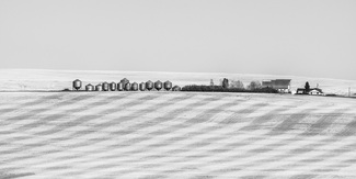 After the harvest After the harvest