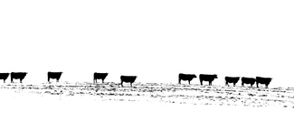 Canadian Border Patrol Canadian Border Patrol