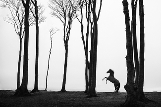 Lost and Found Lost and Found