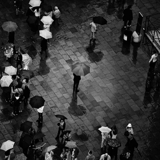Lonely in Venice Lonely in Venice