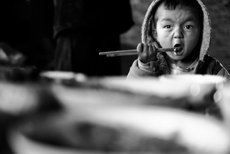 Instinct for Survival Instinct for Survival