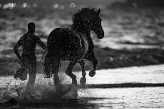 Last Light in the Surf Last Light in the Surf