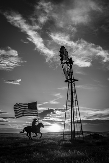 Race for Freedom Race for Freedom