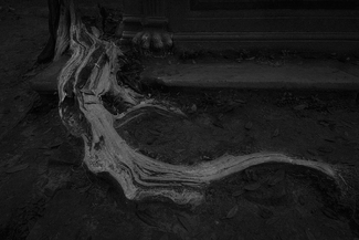 Past Lives Past Lives