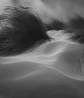 Blowin' in the Wind Blowin' in the Wind