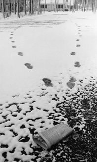 Morning Newspaper Morning Newspaper