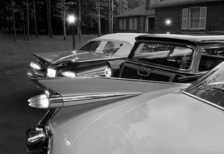 Fins of the 50s Fins of the 50s