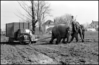 Setting up the Circus Setting up the Circus