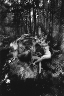 Rock Nymphs Rock Nymphs