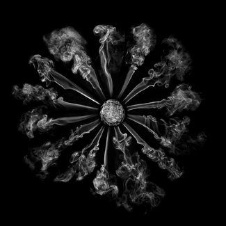 Flower of smoke Flower of smoke