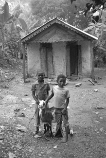 Boys with Goat Boys with Goat