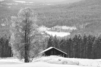 Winter landscape Winter landscape