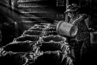 Fish Sauce Factory Fish Sauce Factory