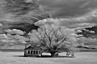 Old School House Old School House