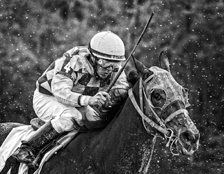 Here's Mud In Yer Eye Here's Mud In Yer Eye