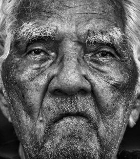 Last Image of Alf at 100 Last Image of Alf at 100