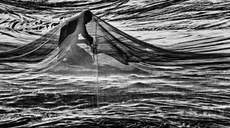 Free Soul in The Material World Free Soul in The Material World