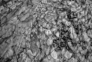 Mud Mosaic Mixed Media Mud Mosaic Mixed Media