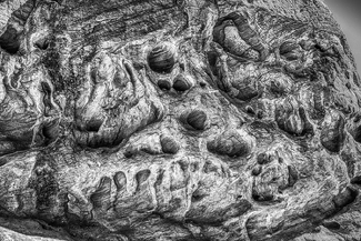 Mental Playground No. 1 Mental Playground No. 1