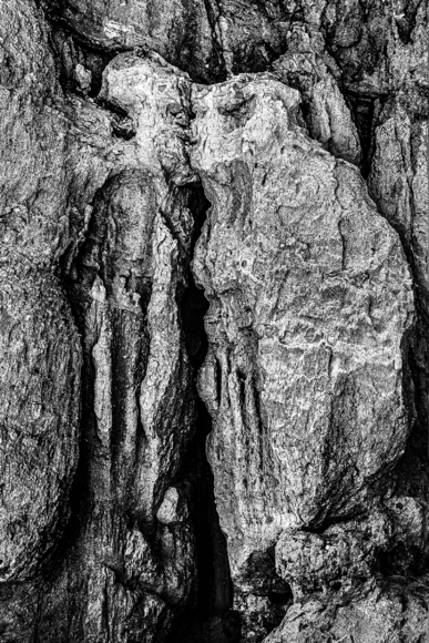5-Million-Year-Old Kiss