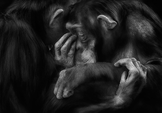 You are not alone You are not alone