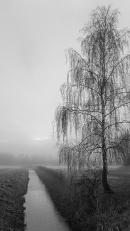 Melancholia Melancholia