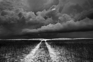 Landscape Landscape