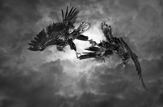 Competition of Chaos Competition of Chaos