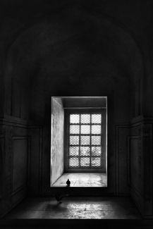 The World Out there The World Out there