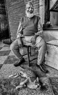 The old man and his cat The old man and his cat