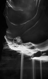 In the Loins of the Earth In the Loins of the Earth