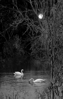 A Secret Place A Secret Place