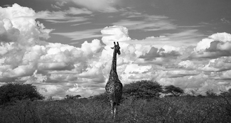 Close to the sky Close to the sky