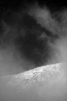 Clearing Clearing