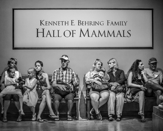 Random Family Random Family