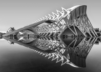 A Whale Bone A Whale Bone