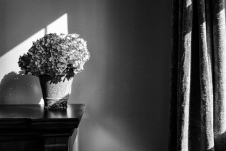 Late Afternoon Light Late Afternoon Light