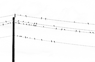 High wire chitchat High wire chitchat