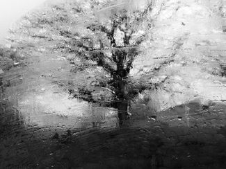 Tree abstract Tree abstract