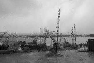 Window view#3 Window view#3