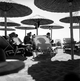 the Platonic World the Platonic World