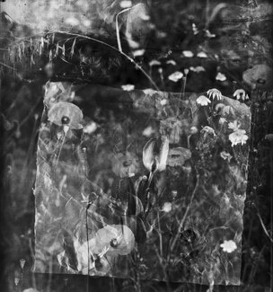 Springtime garden Springtime garden