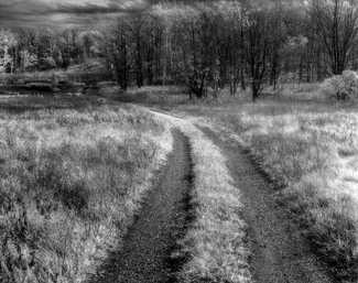 Road and Field Road and Field
