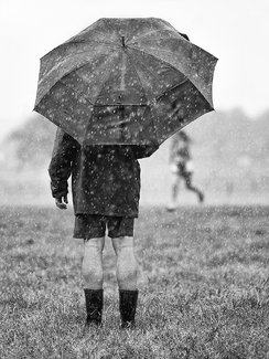 The Lone Spectator The Lone Spectator