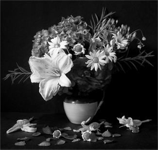 Master Inspired Master Inspired