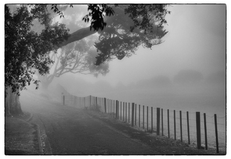 One Foggy Morning One Foggy Morning