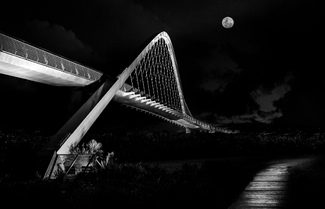 Te Whitinga - The Path Te Whitinga - The Path