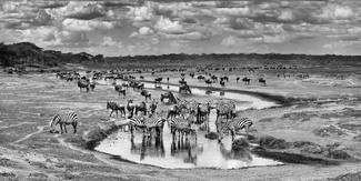 The Great Migration The Great Migration